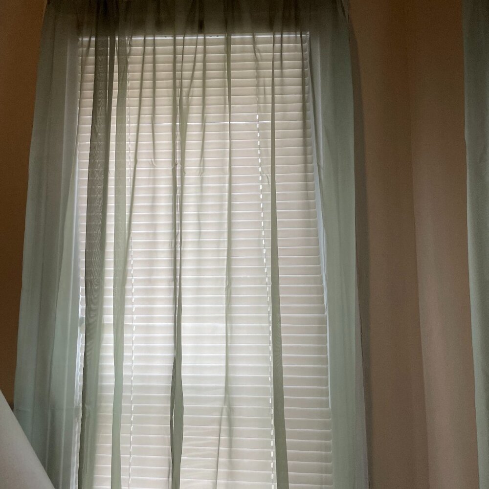 JC Penney Home Collection Lisette Sage Green Sheer 82" Single Panel RN 30221
